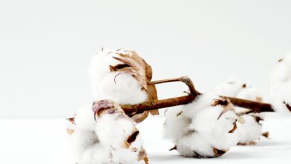 marianne-krohn-RNqZbnBnMQk-unsplash