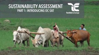 sustainability assessment