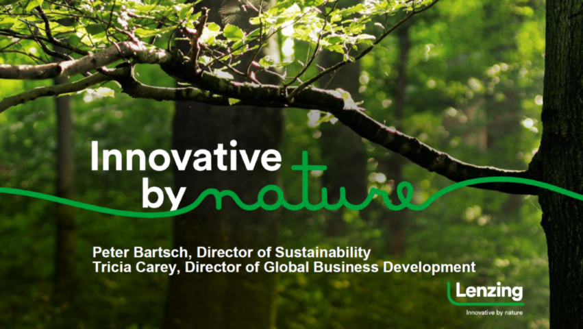 Lenzing Sustainability Webinar